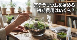 苔テラリウムを始める初期費用はいくら?