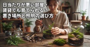 日当たりが悪い部屋・賃貸でも育てられる?置き場所と照明の選び方