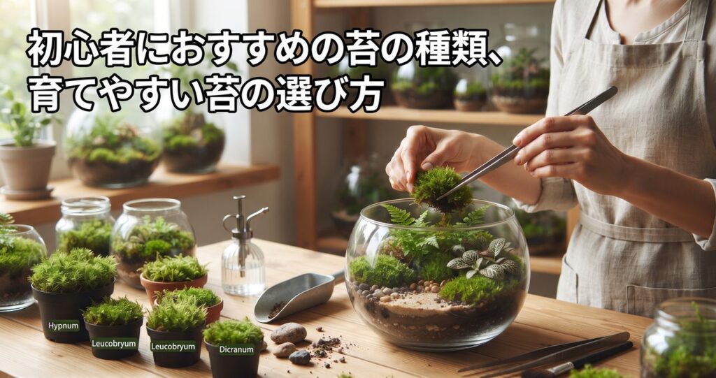 初心者におすすめの苔の種類、育てやすい苔の選び方