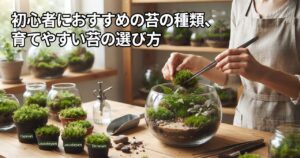 初心者におすすめの苔の種類、育てやすい苔の選び方