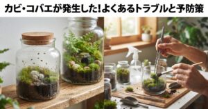 カビ・コバエが発生した!よくあるトラブルと予防策