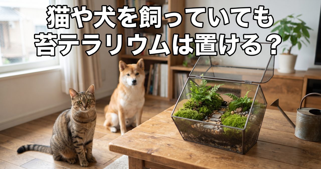 猫や犬を飼っていても苔テラリウムは置ける?ペットとの相性と誤飲・イタズラ対策