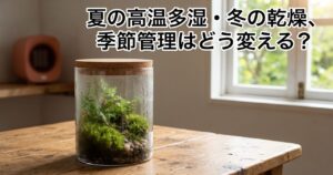 苔テラリウムの季節管理、夏の高温多湿・冬の乾燥にどう対応する?というタイトルの記事アイキャッチ