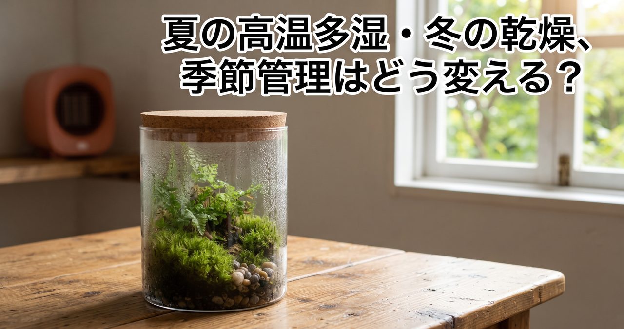 苔テラリウムの季節管理、夏の高温多湿・冬の乾燥にどう対応する?というタイトルの記事アイキャッチ