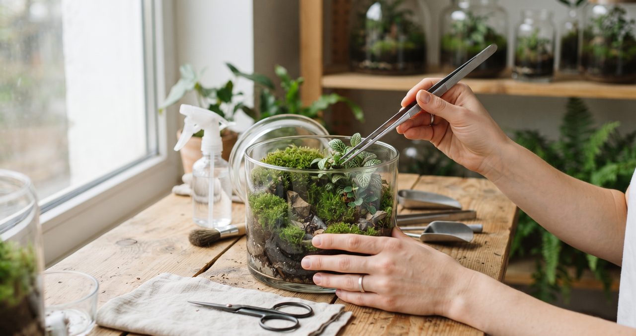 苔を切りそろえるためにピンセットで整える手と、机の上のはさみ、ガラス容器の苔テラリウム