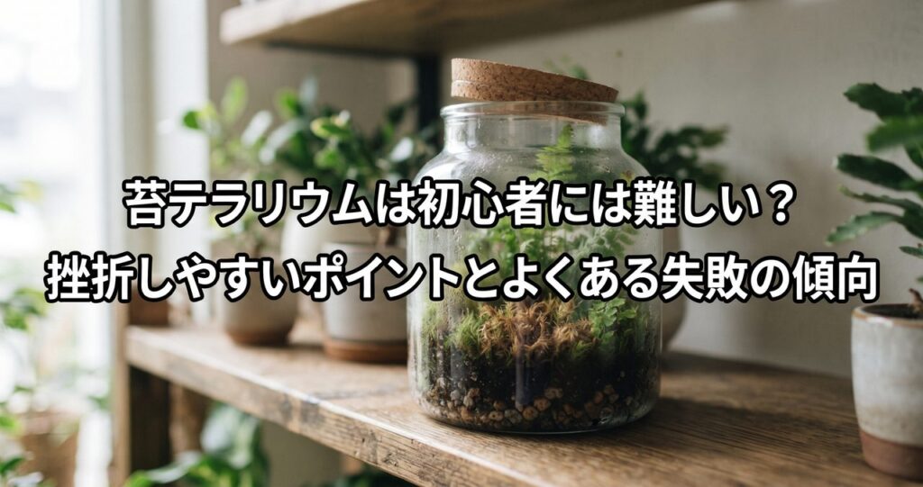 苔テラリウムは初心者には難しい?挫折しやすいポイントとよくある失敗の傾向のアイキャッチ画像(写真調)