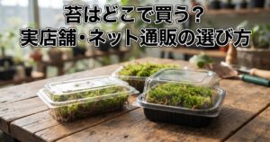 苔はどこで買う?というタイトルの記事アイキャッチ、木製テーブルの上に見た目の異なる苔のパックが3つ並んでいる写真