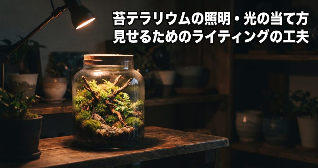 苔テラリウムの照明・光の当て方というタイトルの記事アイキャッチ、暗めの室内で棚に置かれた苔テラリウムに斜め上から電球色のライトが当たり陰影が浮かび上がっている写真