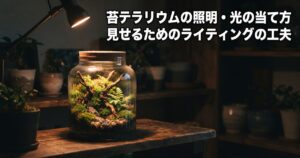 苔テラリウムの照明・光の当て方というタイトルの記事アイキャッチ、暗めの室内で棚に置かれた苔テラリウムに斜め上から電球色のライトが当たり陰影が浮かび上がっている写真