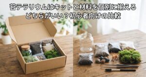 苔テラリウムはキットと材料を個別に揃える、どちらがいい?というタイトルの記事アイキャッチ、開封された無地の箱と同梱物、その隣に個別に集めた容器・苔・土台材が並べられている比較写真
