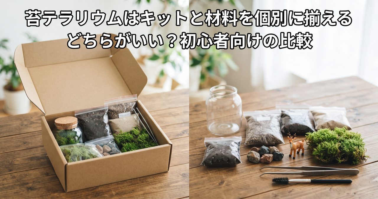 苔テラリウムはキットと材料を個別に揃える、どちらがいい?というタイトルの記事アイキャッチ、開封された無地の箱と同梱物、その隣に個別に集めた容器・苔・土台材が並べられている比較写真